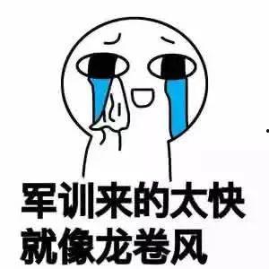 吃瓜不是我原版,网络热词背后的故事与影响