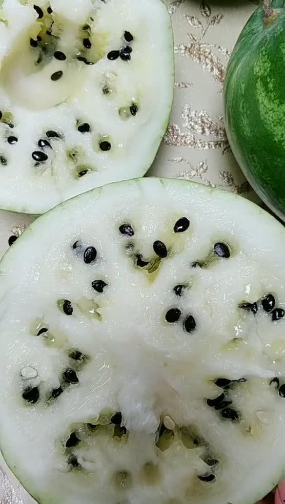 兰州籽瓜吃胖吗